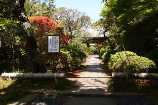 P4194957.jpg