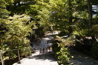 P4194963.jpg