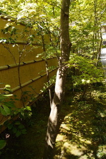 P4194968.jpg