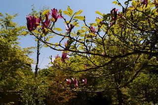 P4194973.jpg