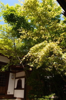 P4194976.jpg
