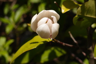 P4194987.jpg