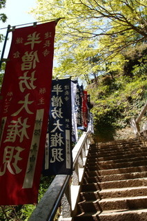 P4195012.jpg