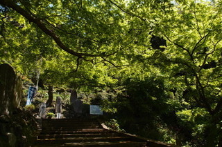 P4195015.jpg