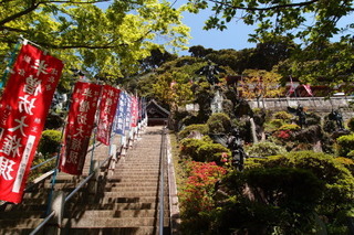 P4195017.jpg