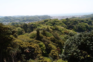 P4195024.jpg