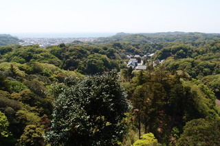 P4195025.jpg
