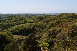 P4195027.jpg
