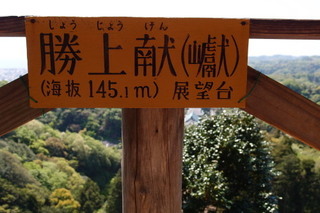 P4195031.jpg