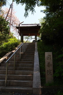 P4195042.jpg