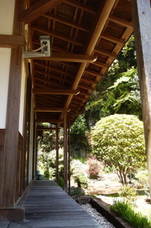 P4195044.jpg