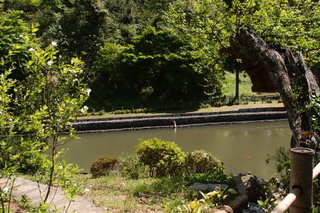 P4195045.jpg