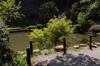 P4195046.jpg