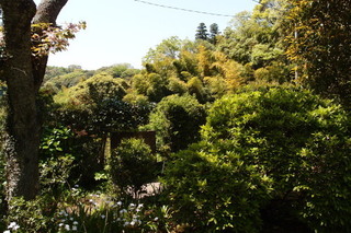 P4195050.jpg