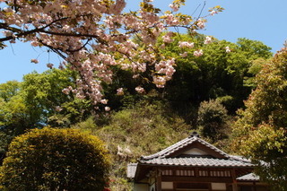 P4195051.jpg