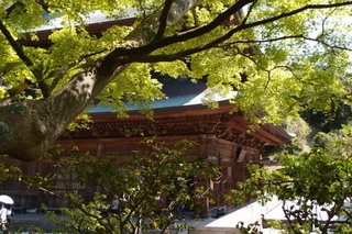 P4195057.jpg