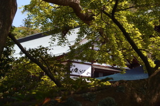 P4195058.jpg