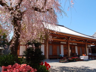 P4198776.jpg