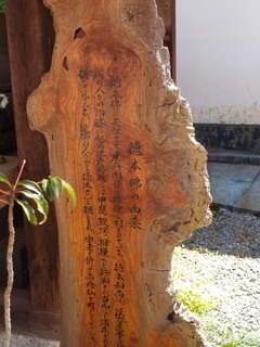 P4198787.jpg