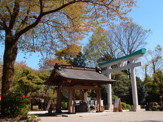 P4198828.jpg