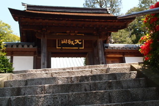 P4205098.jpg