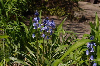 P4205101.jpg