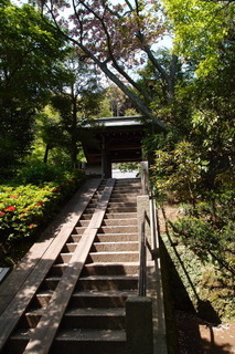 P4205142.jpg