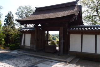 P4205149.jpg