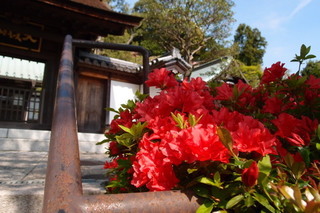 P4205152.jpg