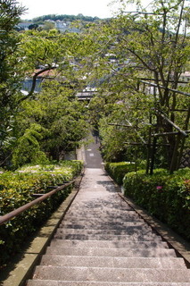 P4205153.jpg