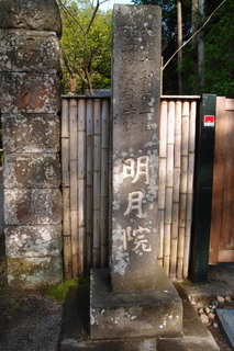 P4205167.jpg