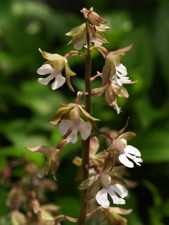 P4228427.jpg