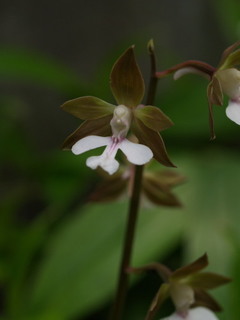 P4228430.jpg