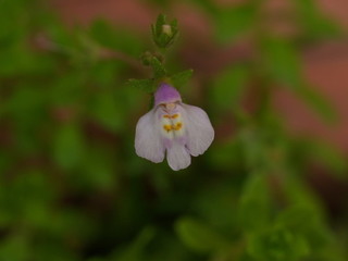 P4228434.jpg
