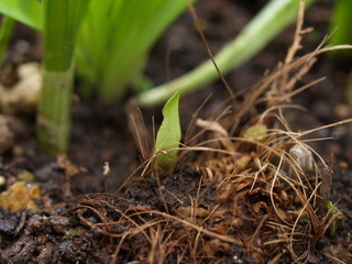 P4228441.jpg