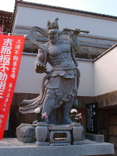 P4238843.jpg