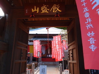P4238849.jpg