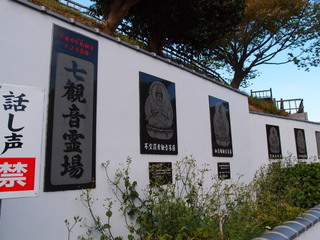 P4238858.jpg