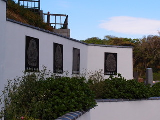 P4238859.jpg