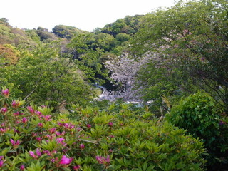 P4238878.jpg