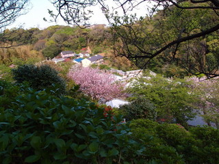 P4238885.jpg