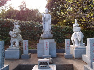P4238886.jpg