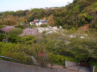 P4238892.jpg