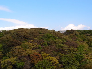 P4238894.jpg
