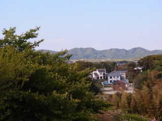 P4238895.jpg