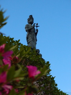 P4238927.jpg