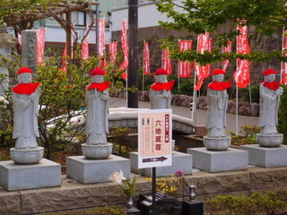 P4238948.jpg