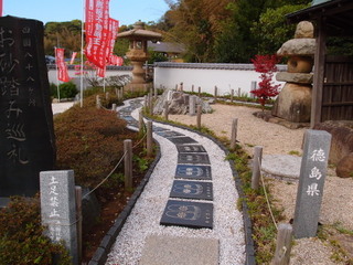 P4238953.jpg