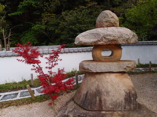 P4238956.jpg