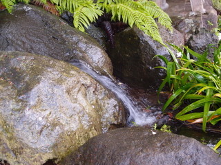 P4238966.jpg